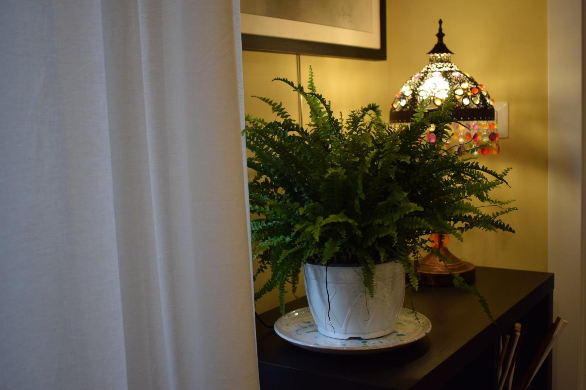 La Dimora Dell'Arte Bed & Breakfast Bari Exterior photo